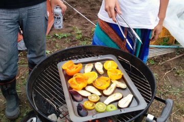 <p>Grilling &nbsp;up fresh veggies</p>