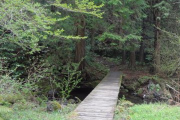 A short bridge crossing a river along the way.