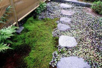 <p>Steppingstones leading to the cemetery at the back of the temple</p>