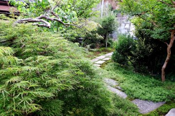 <p>There was nobody in the small, quiet garden...how lucky!</p>