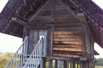 <p>A traditional house in the park</p>