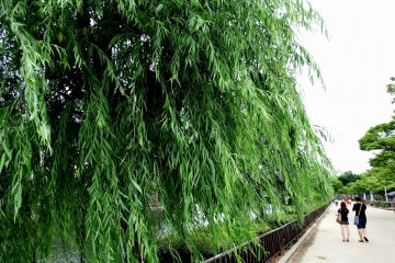 Sekarang Anda berada di Luar Parit Timur. Ada pohon willow hijau di sana-sini dan orang-orang berjalan di sepanjang parit untuk menikmati pemandangan indah dari pepohonan, air hijau tua, dan dinding-dinding batu.