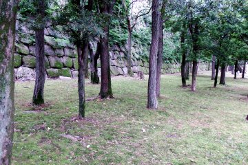 Pohon-pohon berdiri dengan sedih seolah merasa kasihan pada kehidupan pendek Toyotomi Hideyori, pewaris dari raja Jepang, Toyotomi Hideyoshi