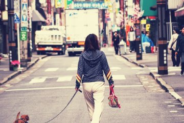 Sugamo - The "Old Lady's Harajuku"