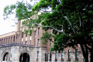 <p>Green trees and faded paint of the building</p>