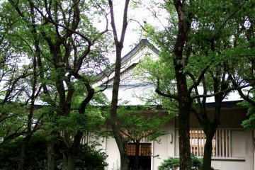 <p>Some young men were practicing Kendo (Japanese fencing) inside Shudo-kan, and their characteristic yells were echoing in the silent woods</p>