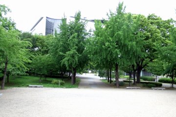 <p>Open space in front of Kyoikuto, which is located on the edge of Osaka Castle Park, thus, some buildings outside of it are seen</p>