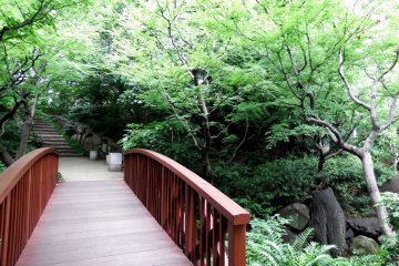 <p>Wooden bridge leading to the center of the forest garden</p>