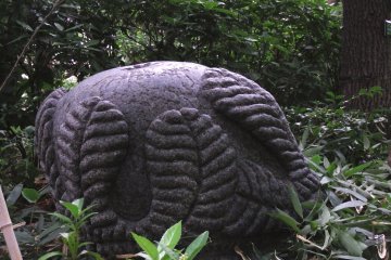 <p>What's this?</p>