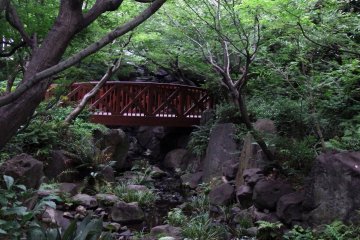 <p>Wooden bridge and trees in the man-made forest created in the middle of Osaka city</p>