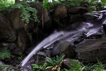 <p>This is the 'Reverse Falls'. The water blows out from a lower place to higher place. I see! It's defying nature!</p>