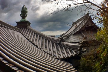 Roofs
