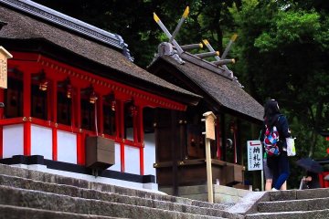 Stepping Inside Fushimi Inari Taisha – Video