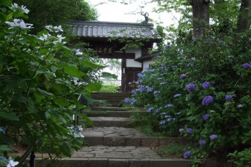 Shifuku-ji Zen Temple in Sendai