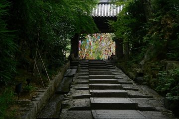 <p>Tanabata decorations framed in the gate of Kodai-ji</p>