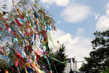 <p>A breeze plays with the bamboo leaves and paper streamers</p>
