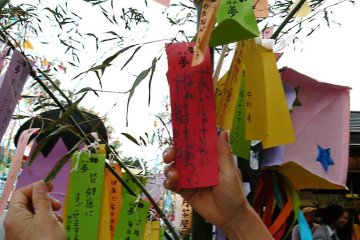 <p>Colored strips of paper have children's wishes written on them</p>