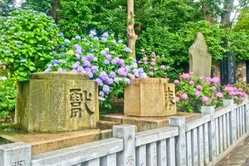 <p>Numerous stone pillars and tablets with various inscriptions</p>