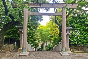 <p>The official exit, marked by a gate and a staircase leading downwards</p>