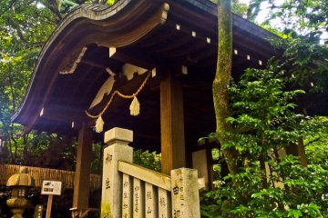 <p>A different look at this gate when walking down the stairs</p>