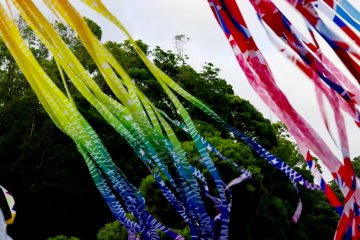 Kamakura Hachiman-gu, Star Festival