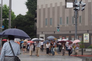 Tokyo in the Rain