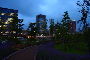 <p>Jalanan di Odaiba ditanami barisan bunga-bunga. Warna merah dan ungu yang mencolok dari bunga-bunga ini masih bisa terlihat di sore hari.</p>