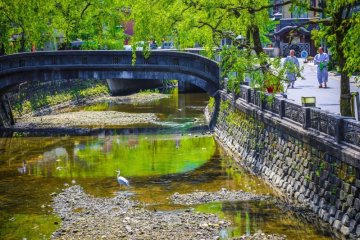 The white stork represents the symbol of the region