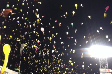And they're off, Go Tigers!