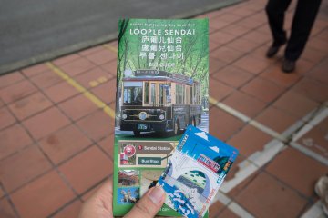 <p>The information brochure in English and the day pass ticket&nbsp;</p>