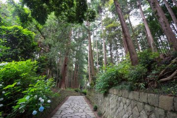 The paved path around the complex