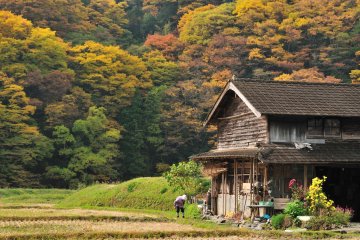 <p>Farmers who live in a vast and exquisite surrounding</p>