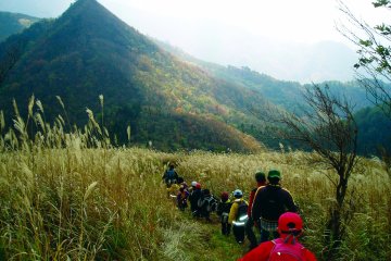 <p>Taking the road less travelled</p>
