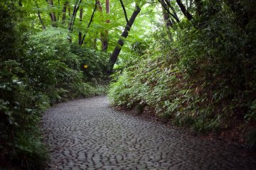 <p>One of the many walkways made of cobblestone</p>