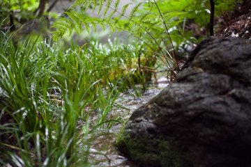 <p>A small waterfall leading into the small pond</p>