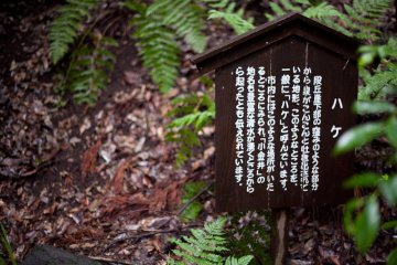 <p>A small post next to one of the walkways.</p>