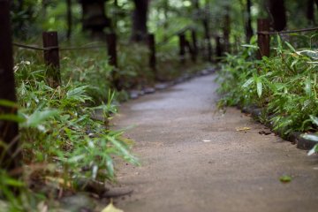 <p>Another walkway leading through the serene pathways.</p>