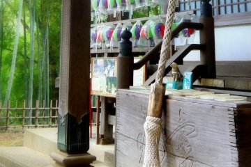 <p>Colored paper lanterns protected by plastic, with green bamboo in the background</p>