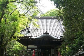 <p>Trees tower over the main hall</p>