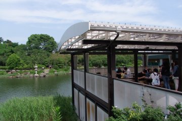 <p>Tables with a view &nbsp;</p>