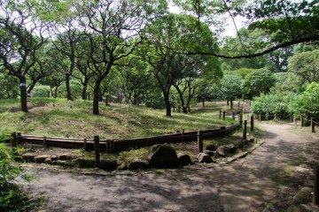 <p>A quiet walk through nature</p>