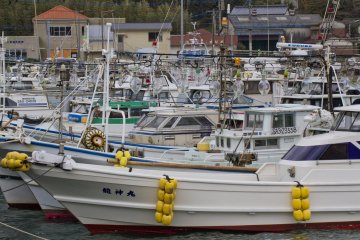 <p>The harbor is full during the afternoon</p>