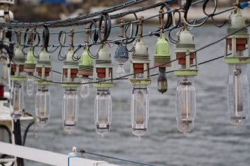 <p>A prominent feature of squid boats are their lights, which attract squid during night fishing</p>