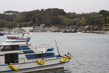 <p>A few pleasure boats also line the harbor</p>