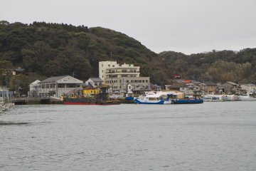 <p>The pier is lined with tour boats that explore nearby scenic islands</p>