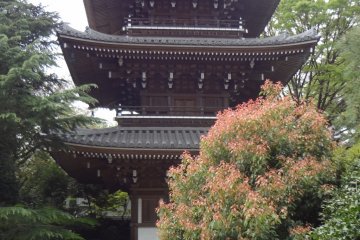 Shinagawa’s Tozen-ji Temple