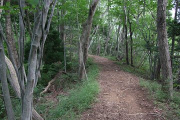 <p>The mountain trail is&nbsp;surrounded by greenery and serenity</p>
