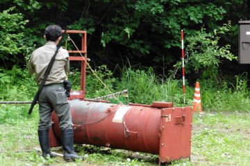 <p>Last checks before releasing the bear</p>
