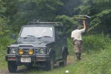 <p>Once the bear has been released back into the wild, the team tracks it with radar to make sure it's not coming back</p>