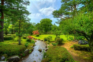 <p>Stream inside the park</p>